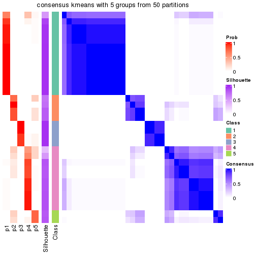 plot of chunk tab-node-0222-consensus-heatmap-4