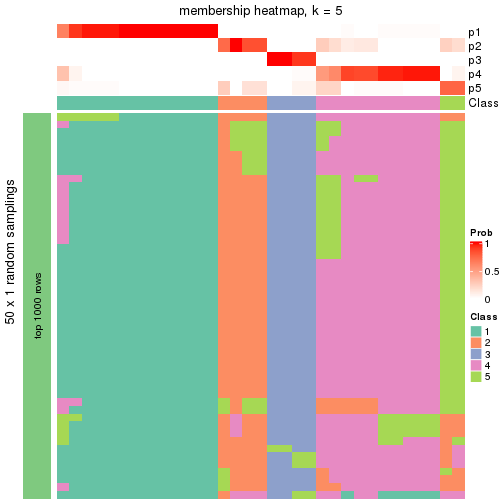 plot of chunk tab-node-0222-membership-heatmap-4