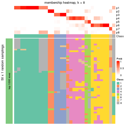 plot of chunk tab-node-0222-membership-heatmap-7