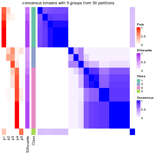 plot of chunk tab-node-02221-consensus-heatmap-4