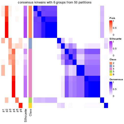 plot of chunk tab-node-02221-consensus-heatmap-5