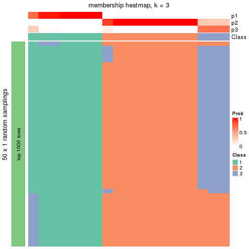 plot of chunk tab-node-02221-membership-heatmap-2