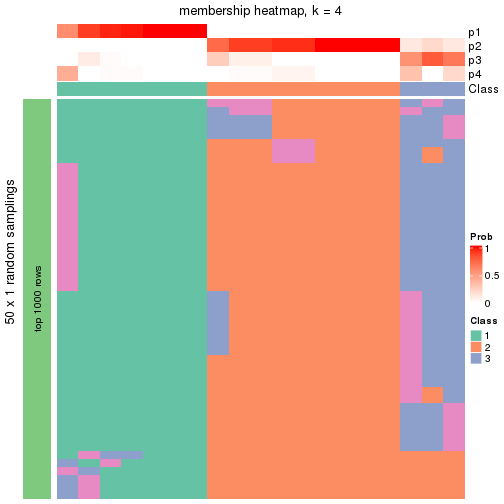 plot of chunk tab-node-02221-membership-heatmap-3