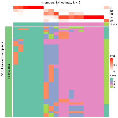 plot of chunk tab-node-02221-membership-heatmap-4