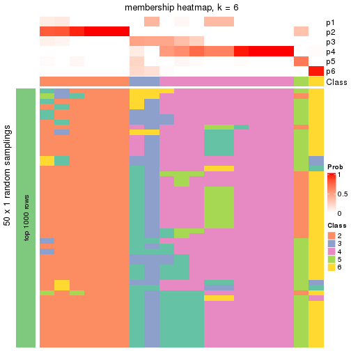 plot of chunk tab-node-02221-membership-heatmap-5