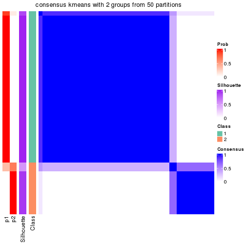 plot of chunk tab-node-0223-consensus-heatmap-1