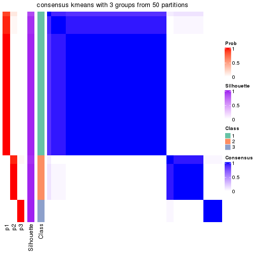 plot of chunk tab-node-0223-consensus-heatmap-2