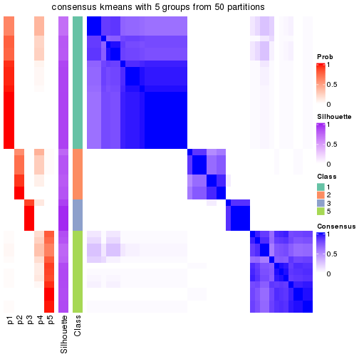 plot of chunk tab-node-0223-consensus-heatmap-4