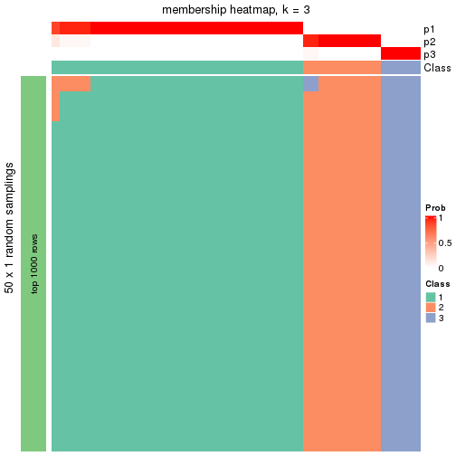 plot of chunk tab-node-0223-membership-heatmap-2