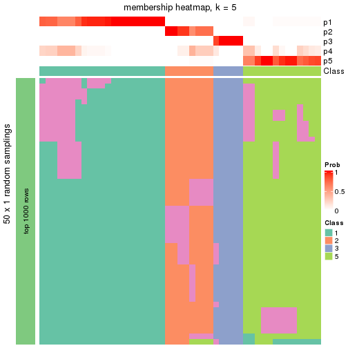 plot of chunk tab-node-0223-membership-heatmap-4