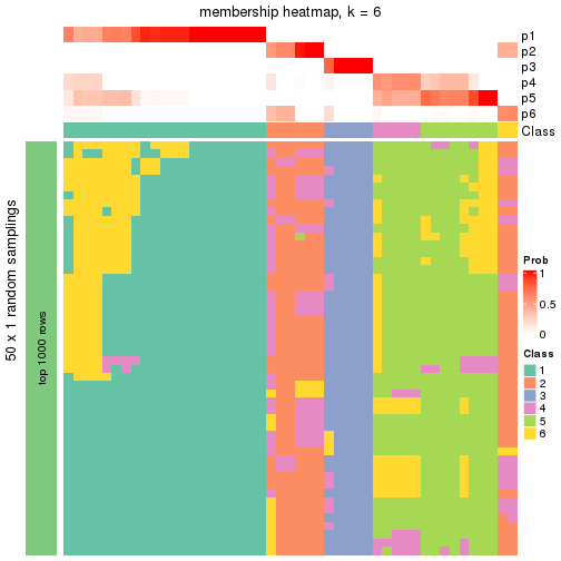 plot of chunk tab-node-0223-membership-heatmap-5