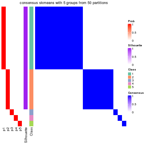 plot of chunk tab-node-02231-consensus-heatmap-4