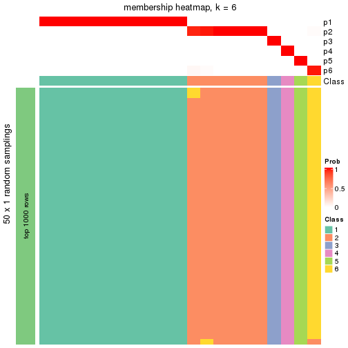 plot of chunk tab-node-02231-membership-heatmap-5