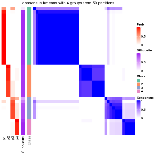 plot of chunk tab-node-023-consensus-heatmap-3