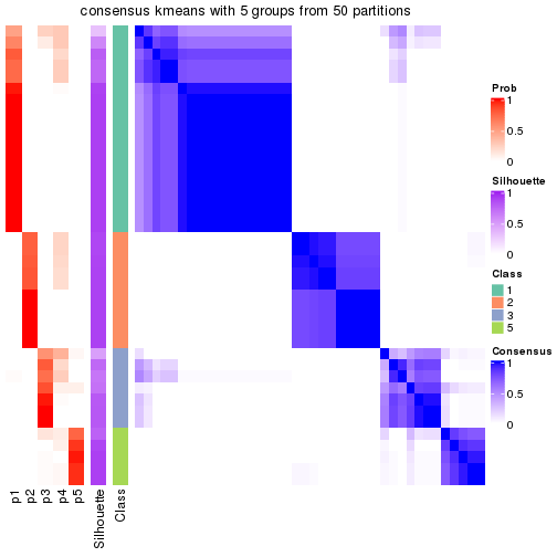 plot of chunk tab-node-023-consensus-heatmap-4