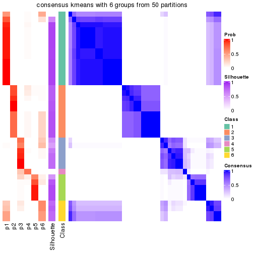 plot of chunk tab-node-023-consensus-heatmap-5