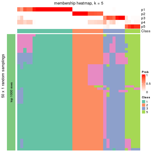 plot of chunk tab-node-023-membership-heatmap-4