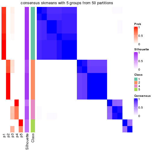 plot of chunk tab-node-0231-consensus-heatmap-4