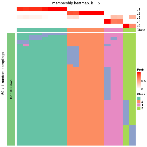 plot of chunk tab-node-0231-membership-heatmap-4