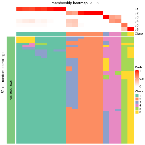 plot of chunk tab-node-0231-membership-heatmap-5