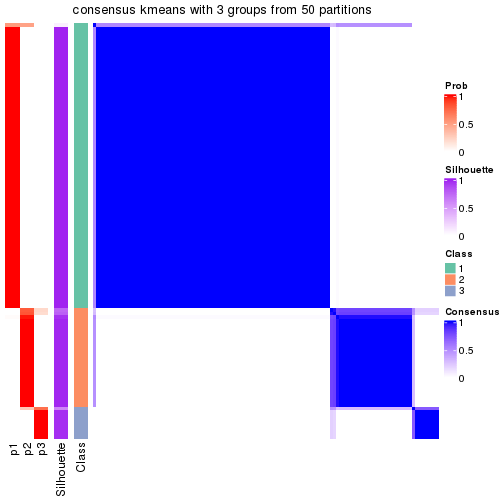 plot of chunk tab-node-03-consensus-heatmap-2