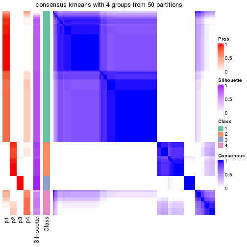 plot of chunk tab-node-03-consensus-heatmap-3