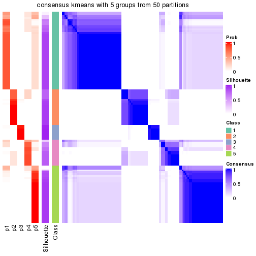 plot of chunk tab-node-03-consensus-heatmap-4