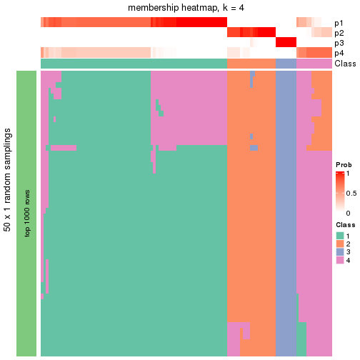 plot of chunk tab-node-03-membership-heatmap-3