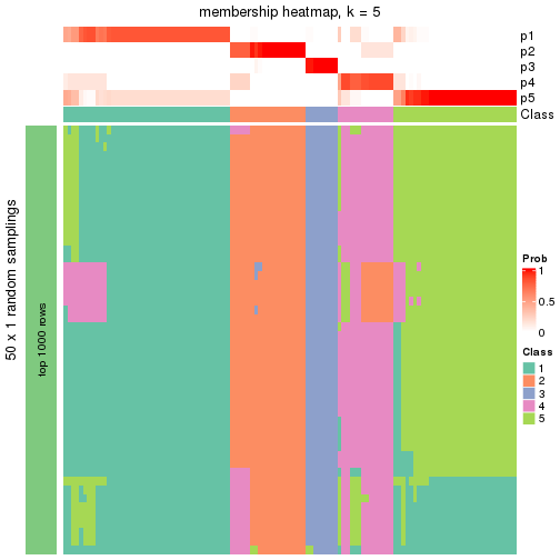 plot of chunk tab-node-03-membership-heatmap-4