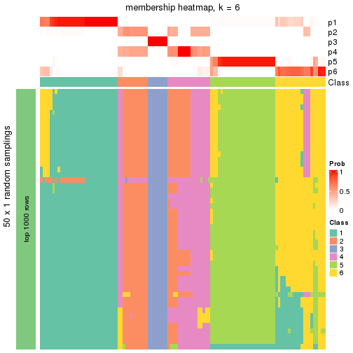 plot of chunk tab-node-03-membership-heatmap-5