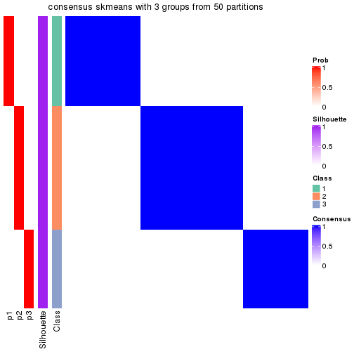 plot of chunk tab-node-031-consensus-heatmap-2