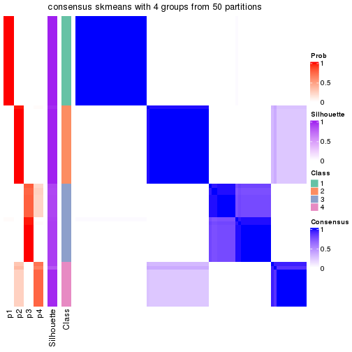 plot of chunk tab-node-031-consensus-heatmap-3