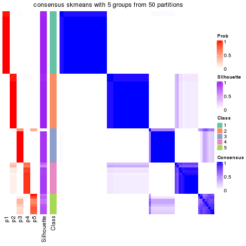 plot of chunk tab-node-031-consensus-heatmap-4