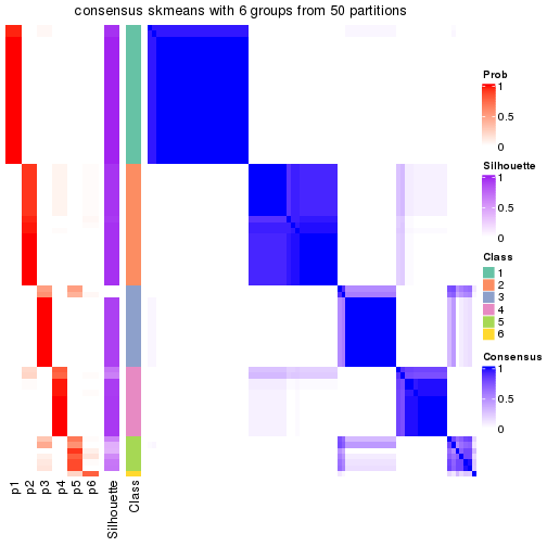 plot of chunk tab-node-031-consensus-heatmap-5