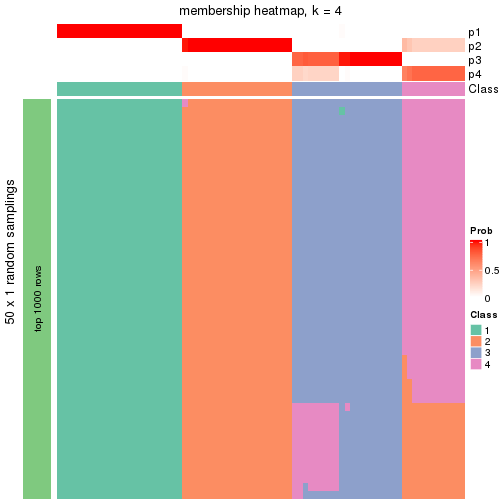 plot of chunk tab-node-031-membership-heatmap-3