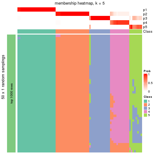 plot of chunk tab-node-031-membership-heatmap-4