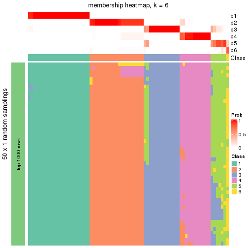 plot of chunk tab-node-031-membership-heatmap-5