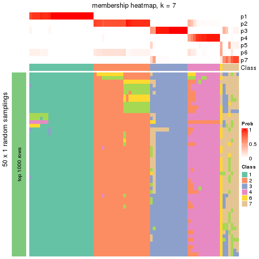 plot of chunk tab-node-031-membership-heatmap-6