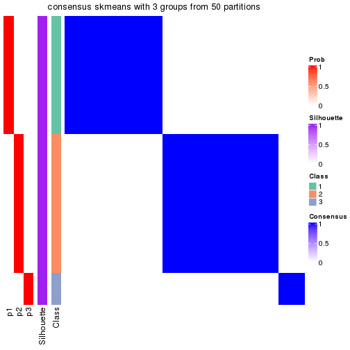 plot of chunk tab-node-032-consensus-heatmap-2