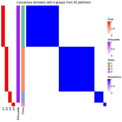 plot of chunk tab-node-032-consensus-heatmap-3