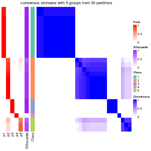 plot of chunk tab-node-032-consensus-heatmap-4