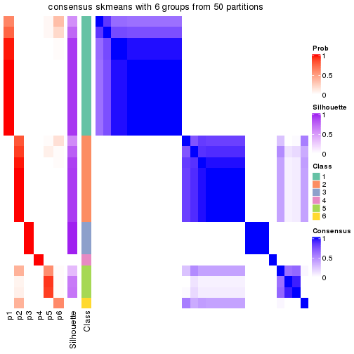 plot of chunk tab-node-032-consensus-heatmap-5