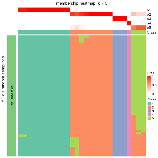 plot of chunk tab-node-032-membership-heatmap-4