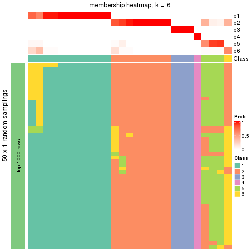 plot of chunk tab-node-032-membership-heatmap-5