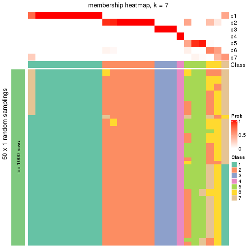 plot of chunk tab-node-032-membership-heatmap-6