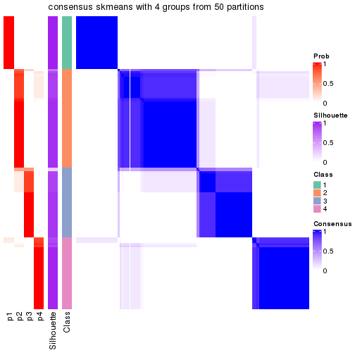 plot of chunk tab-node-0-consensus-heatmap-3