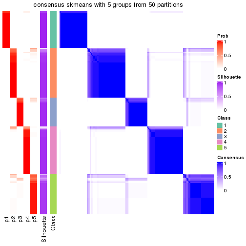 plot of chunk tab-node-0-consensus-heatmap-4