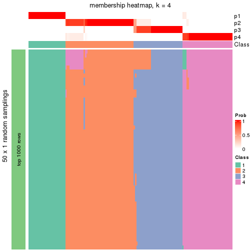 plot of chunk tab-node-0-membership-heatmap-3