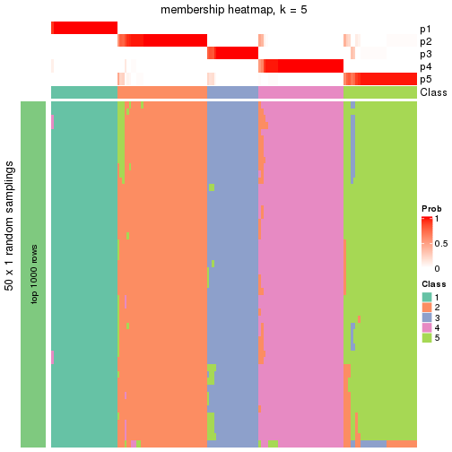 plot of chunk tab-node-0-membership-heatmap-4