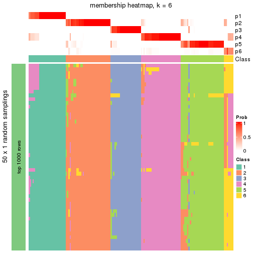 plot of chunk tab-node-0-membership-heatmap-5